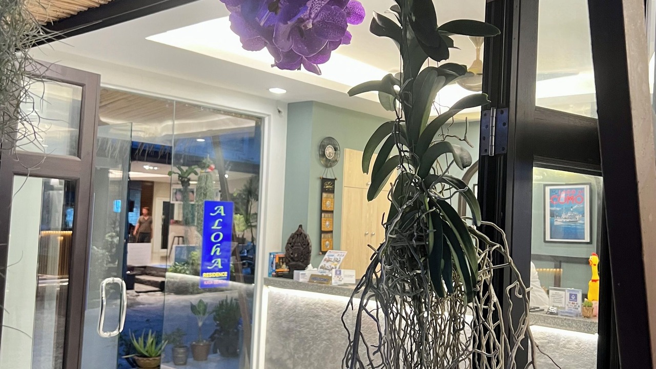 Photo of Outdoor in Kata