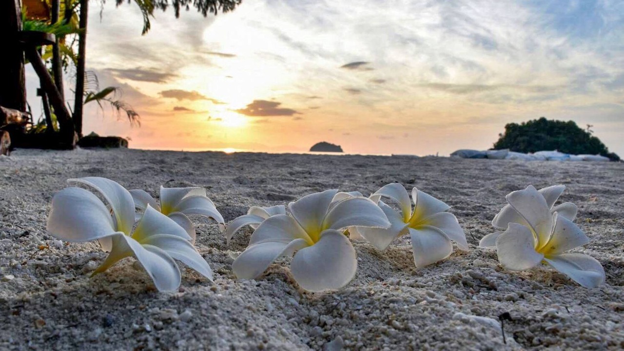 Photo of Outdoor in Satun
