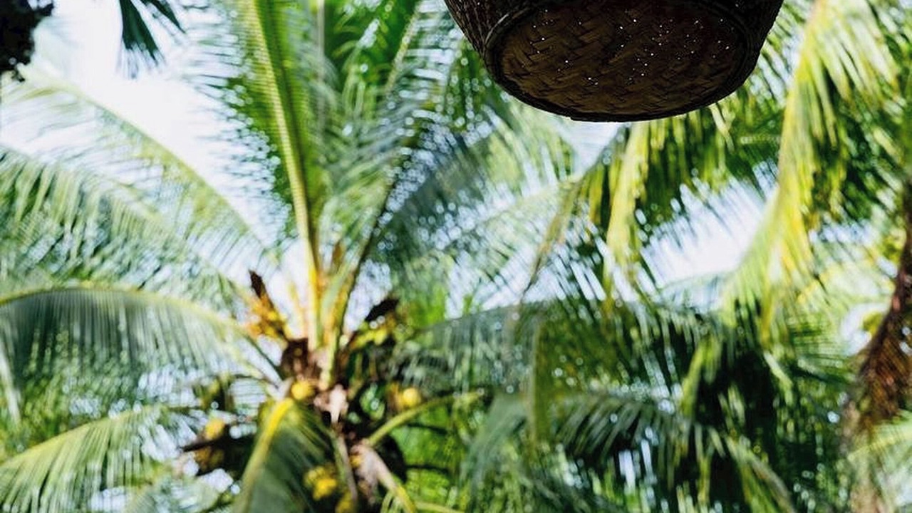 Photo of Outdoor in Ban Pa Yang