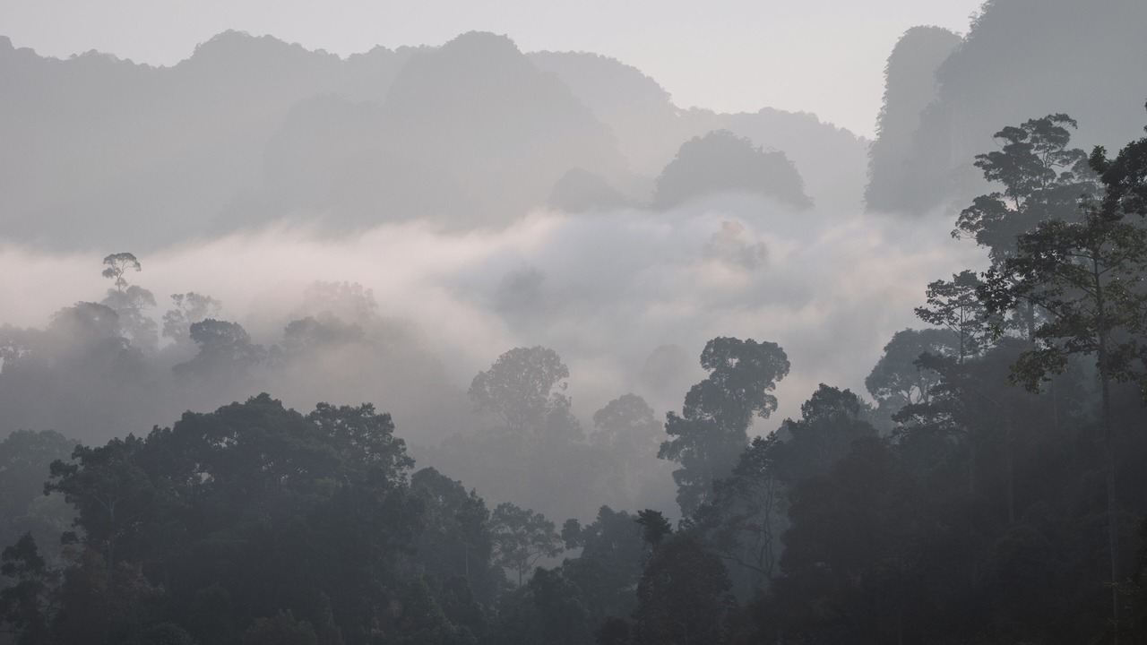 Photo of Outdoor in Ban Ta Khun