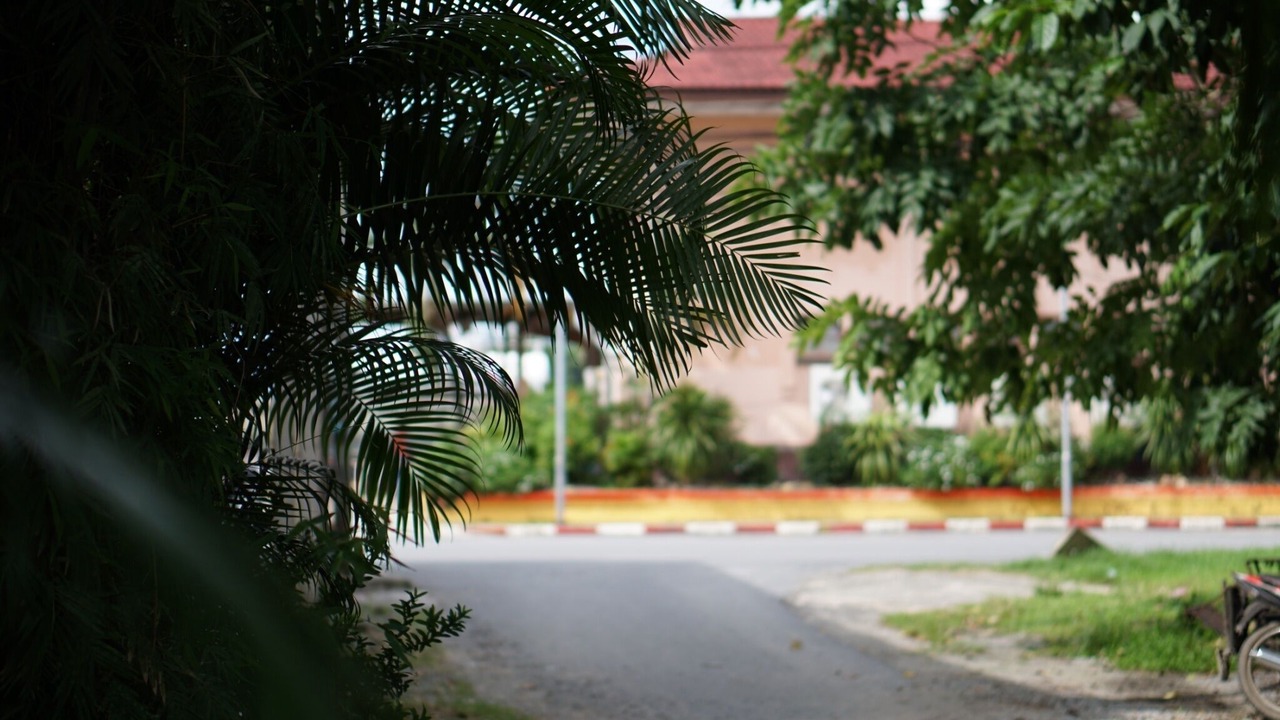 Photo of Outdoor in Thung Song