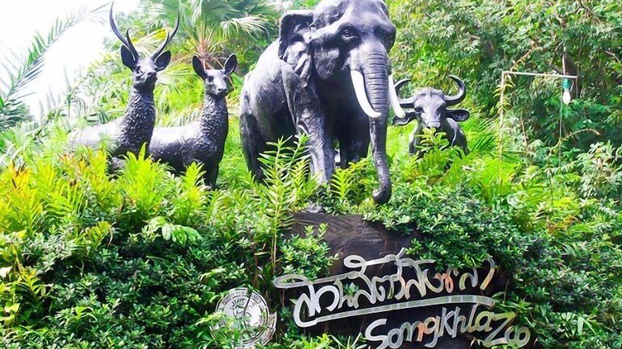 Photo of Others in Songkhla