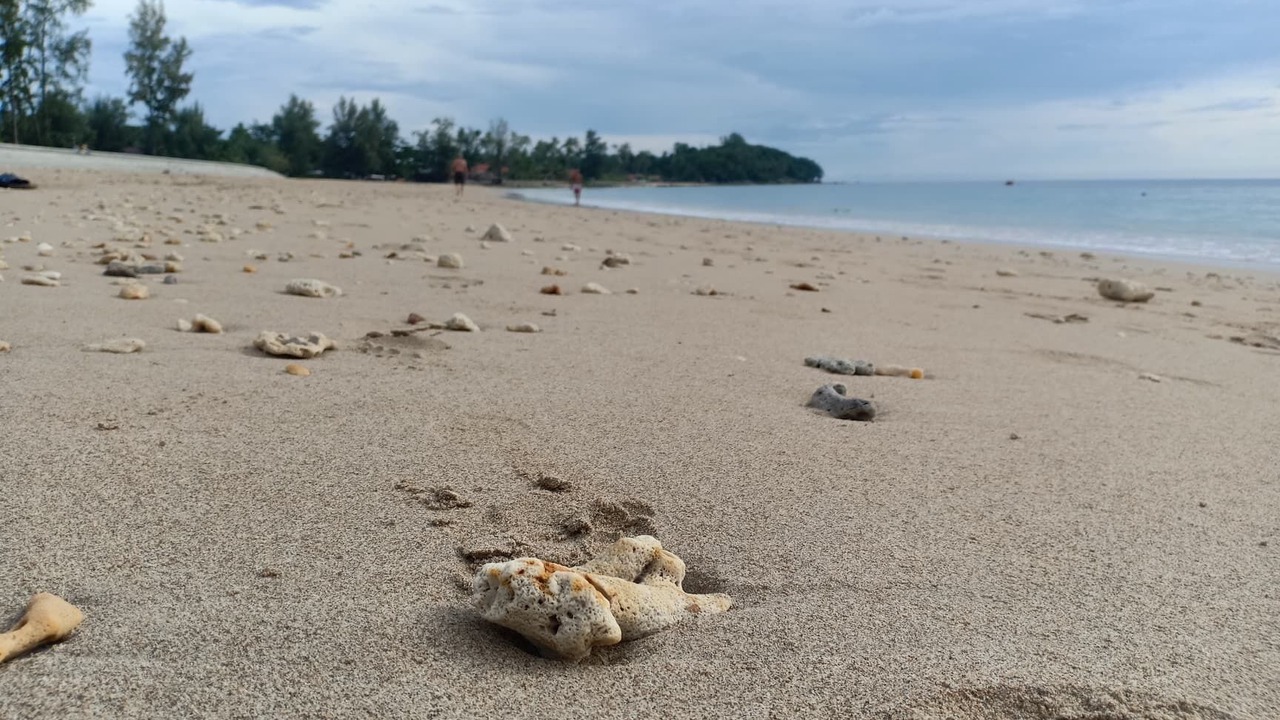 Photo of Others in Ko Lanta
