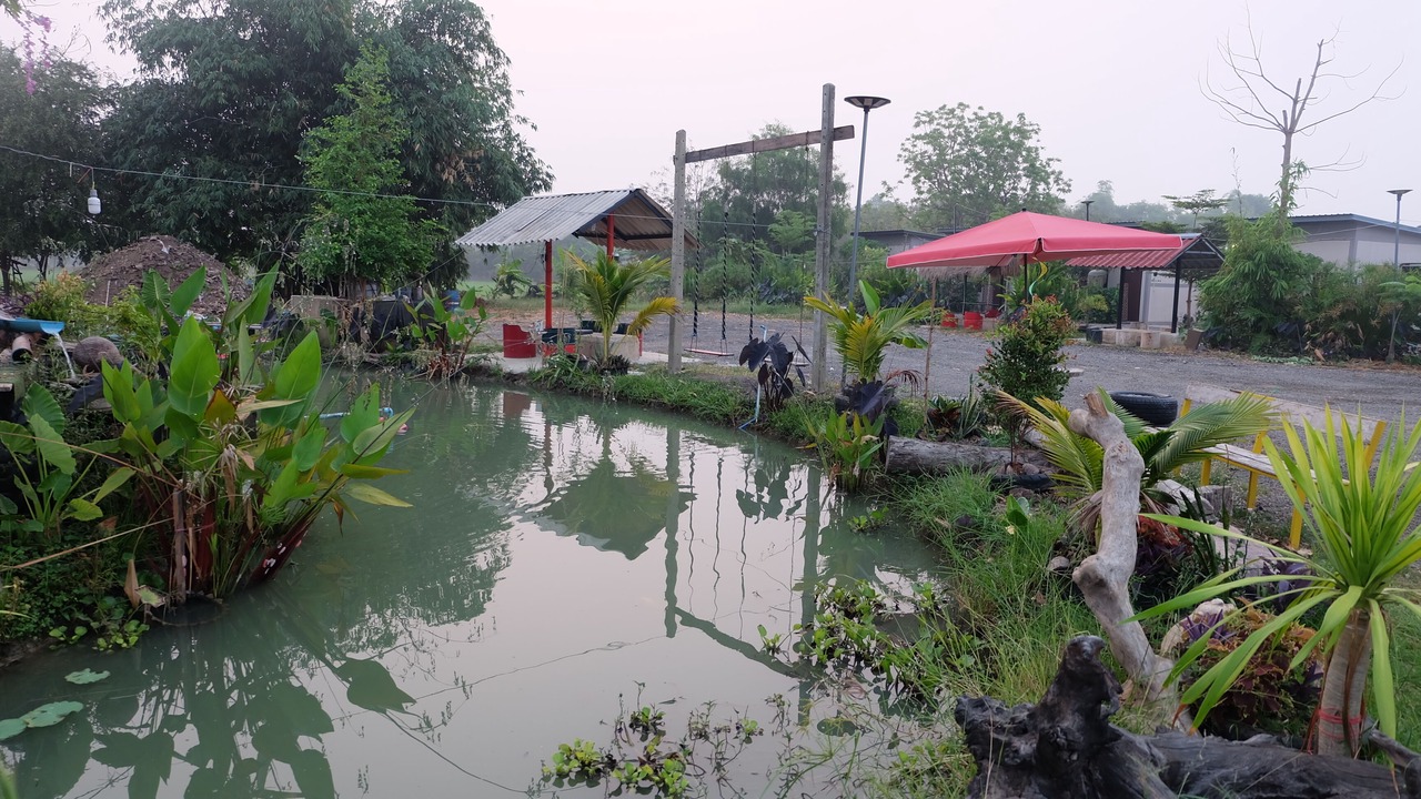 Photo of Outdoor in Chai Nat