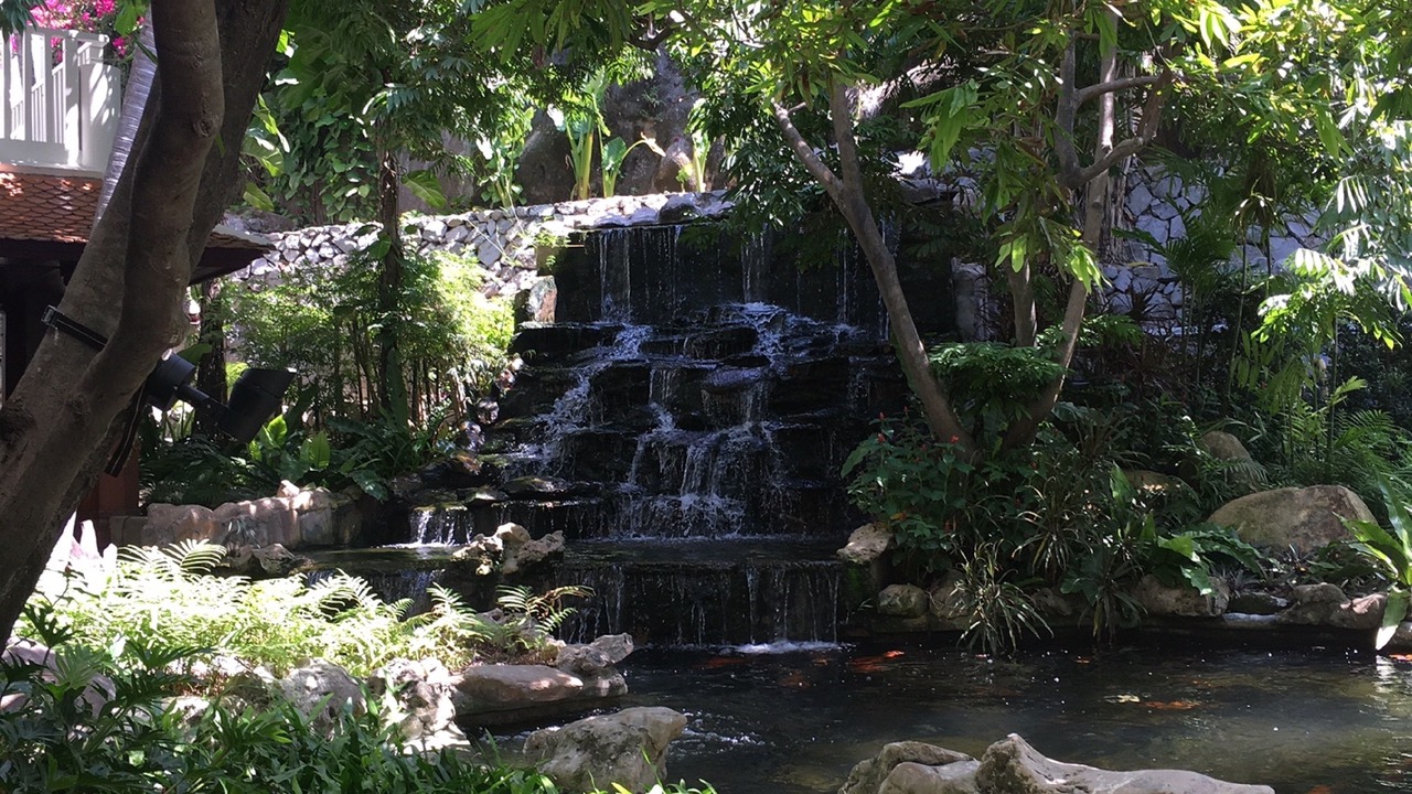 Photo of Outdoor in Patong
