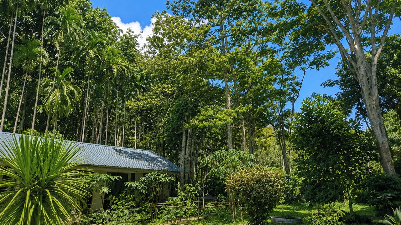 Photo of Outdoor in Pa Klok