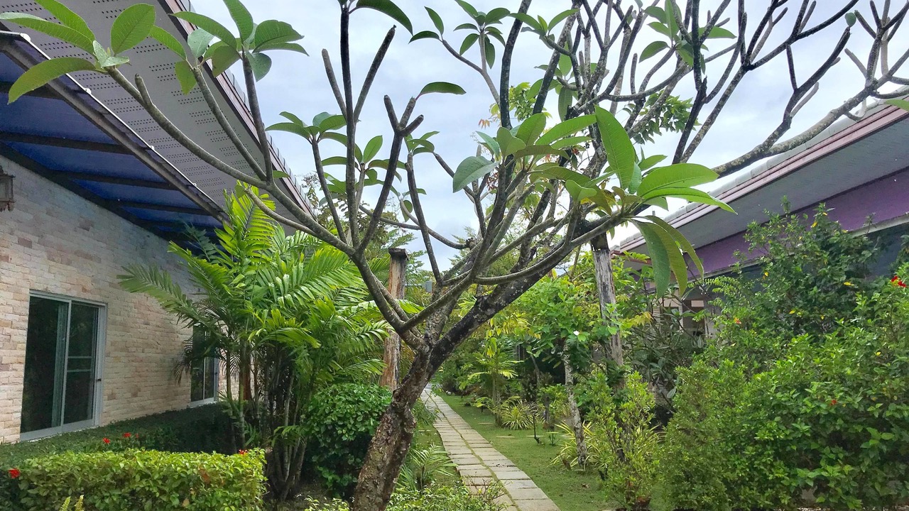 Photo of Outdoor in Sa Khu