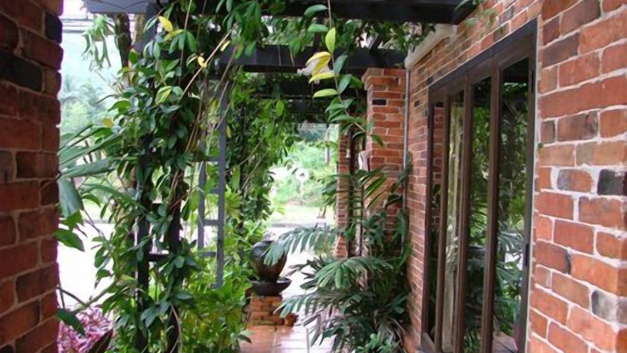 Photo of Outdoor in Ranong