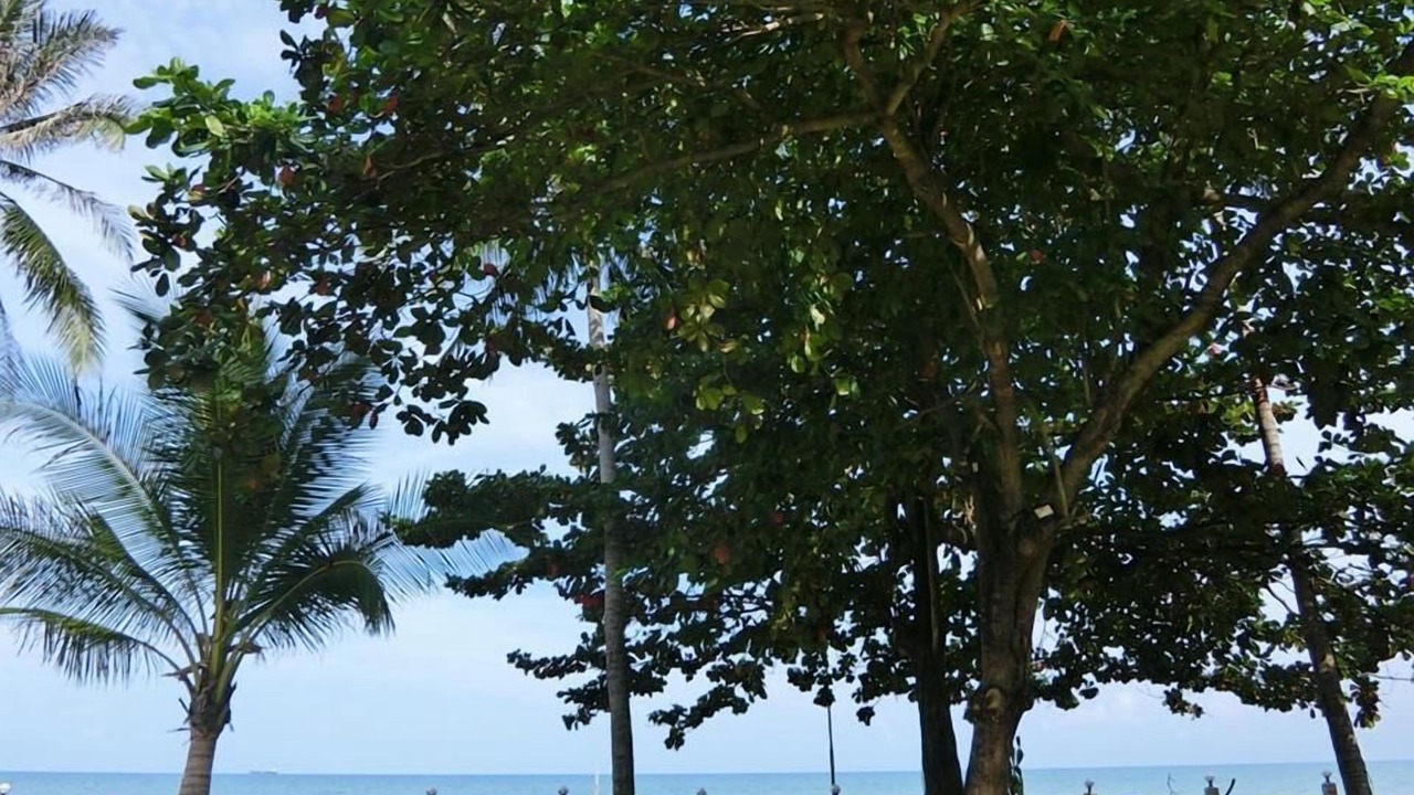 Photo of Others in Khanom