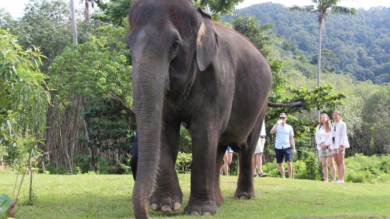 Photo of Others in Ko Lanta