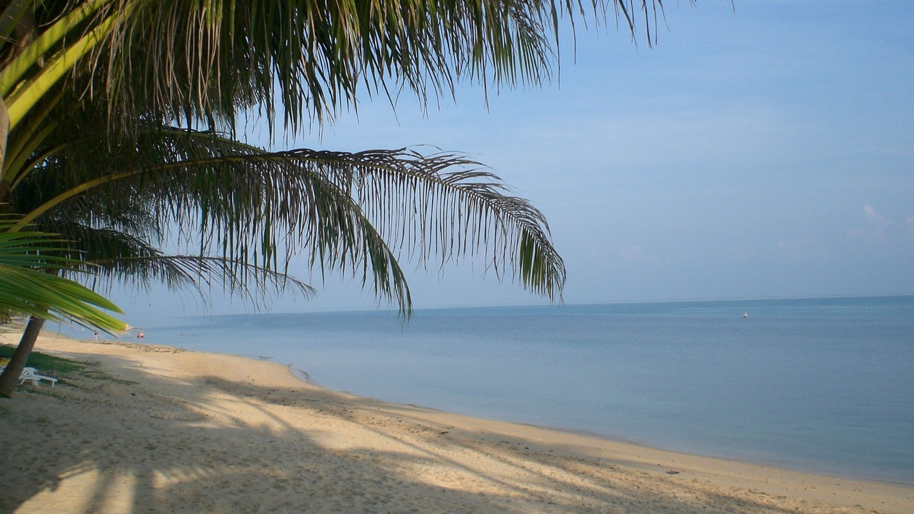 Photo of Others in Bang Po