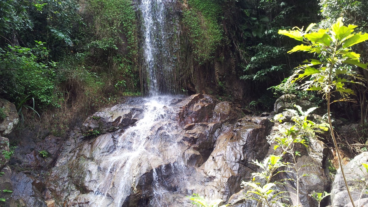 Photo of Outdoor in Moo 5