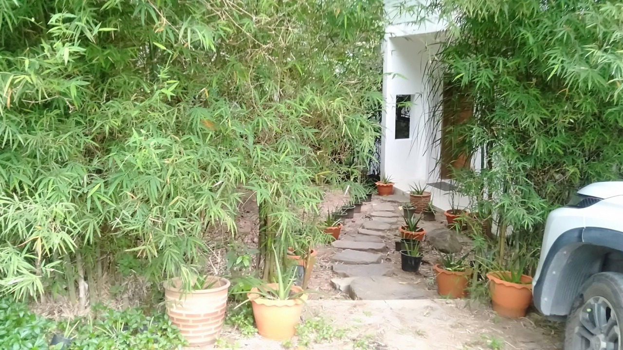 Photo of Outdoor in Bophut