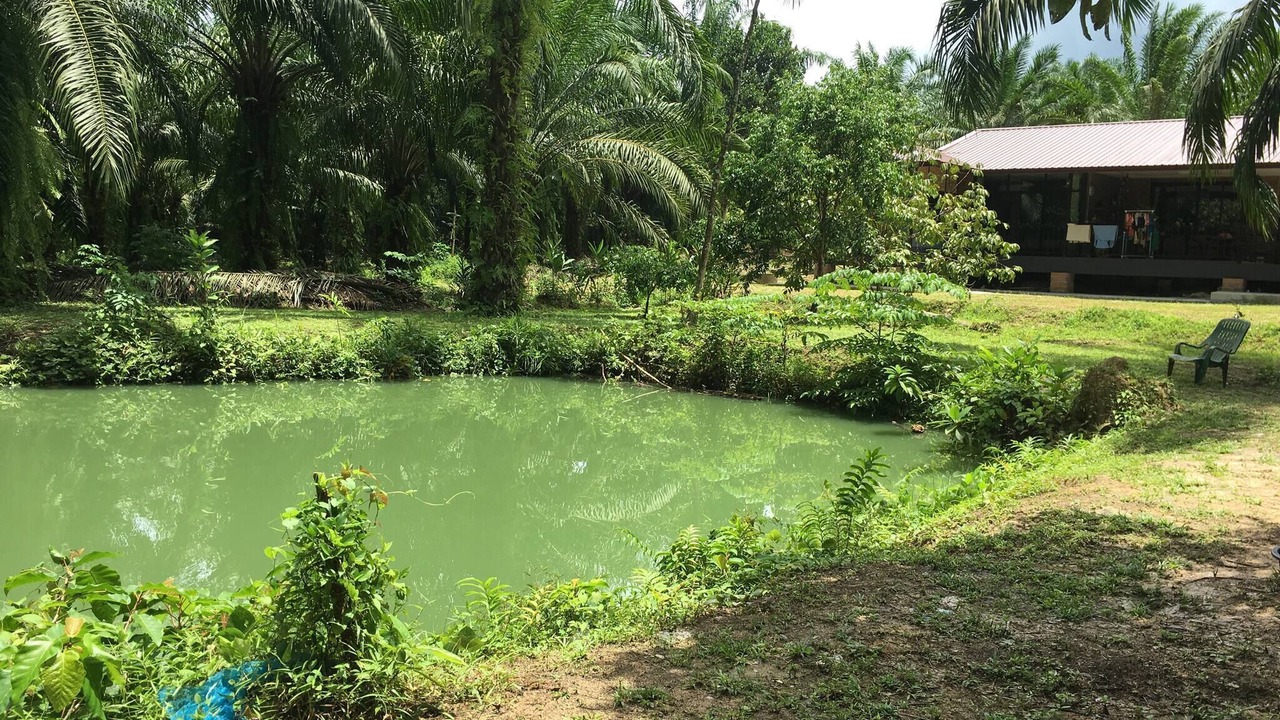 Photo of Outdoor in Ao Luek
