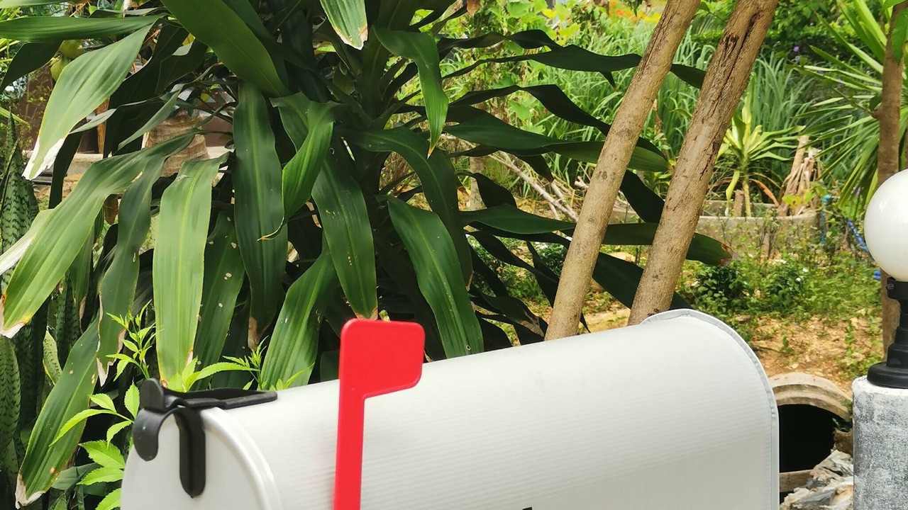Photo of Outdoor in Ko Lanta
