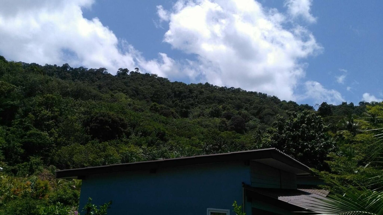 Photo of Others in Ko Lanta