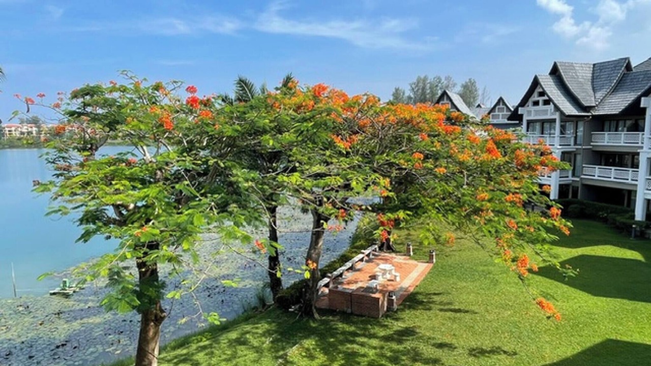 Photo of Outdoor in Laguna