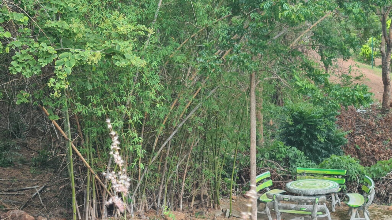 Photo of Outdoor in Phetchaburi