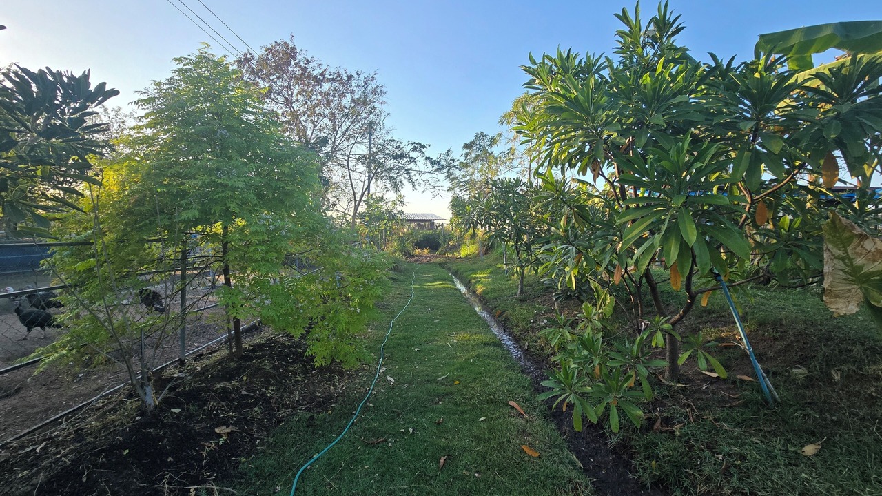 Photo of Outdoor in Non Rang