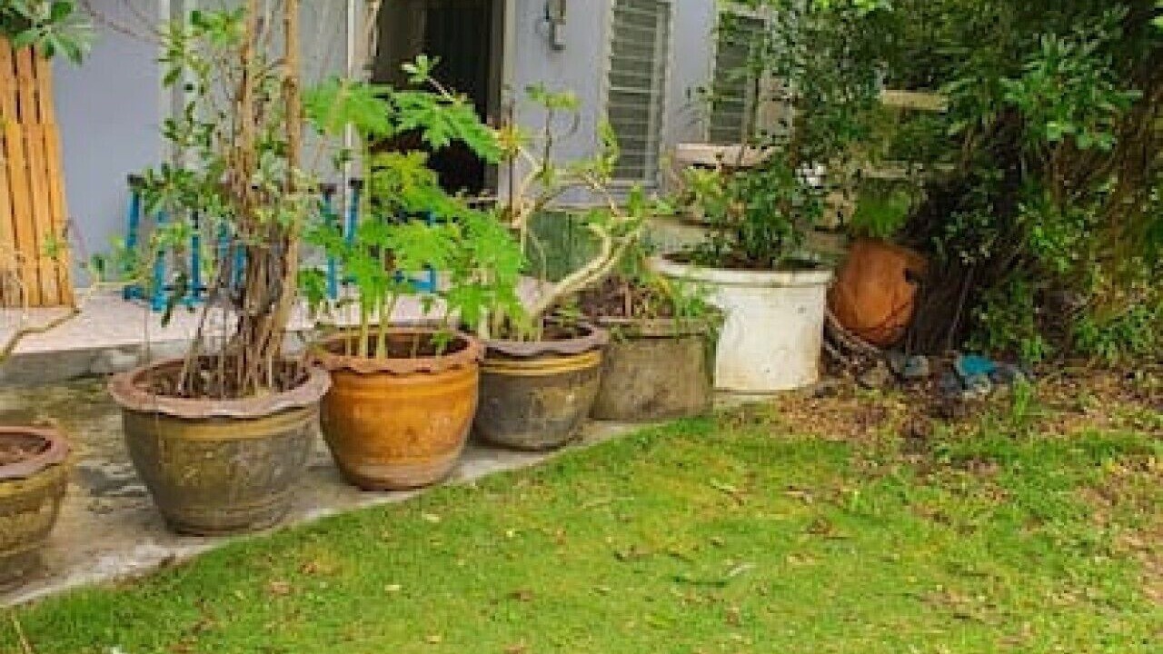Photo of Outdoor in Thong Sala