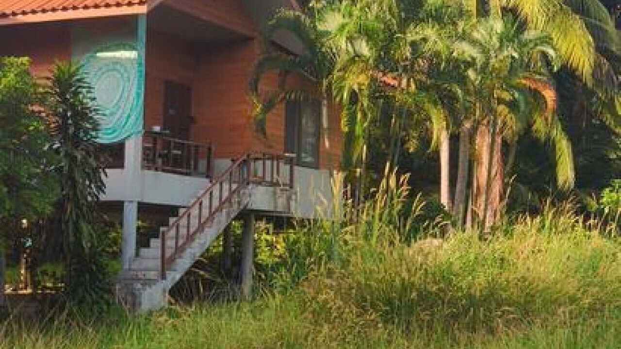 Photo of Others in Thong Sala