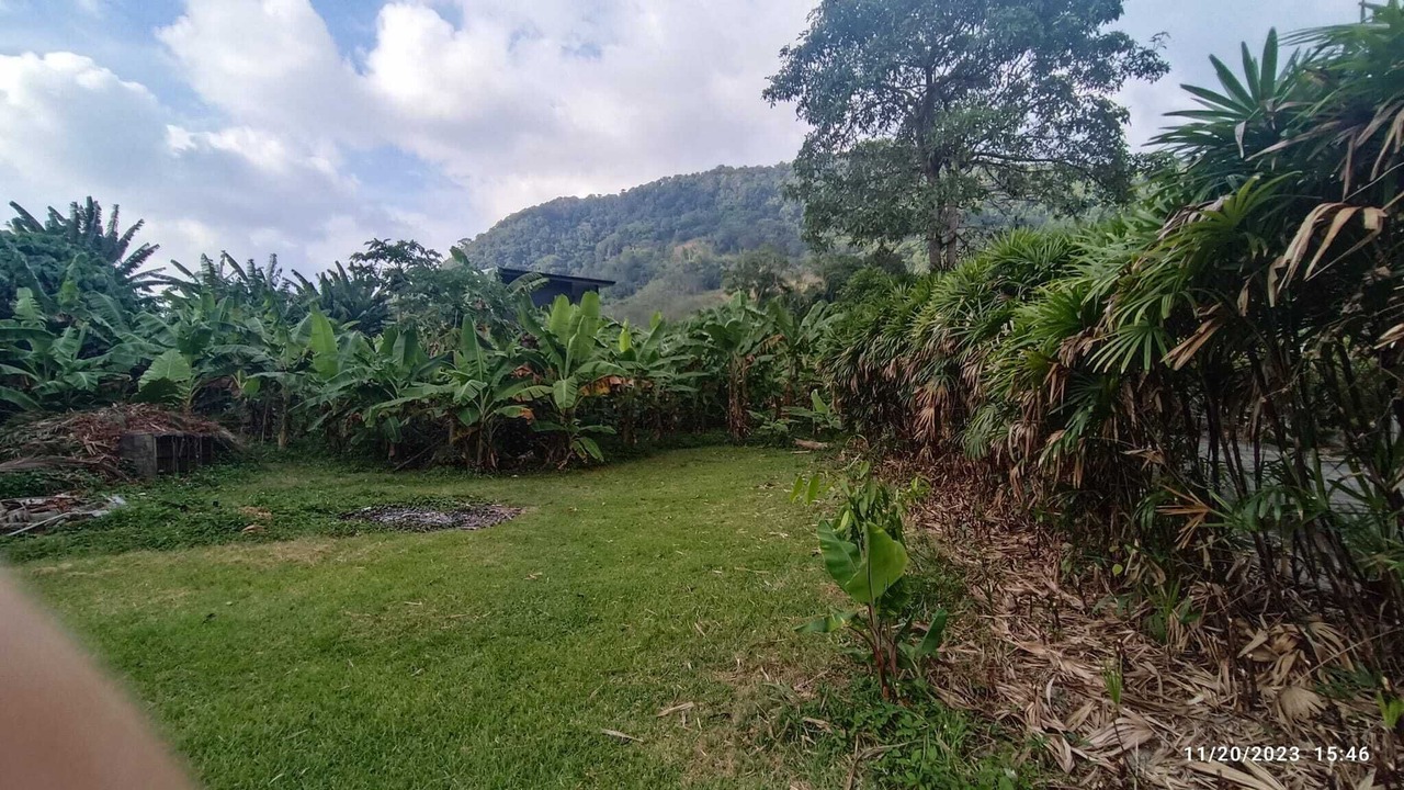 Photo of Outdoor in Kamala