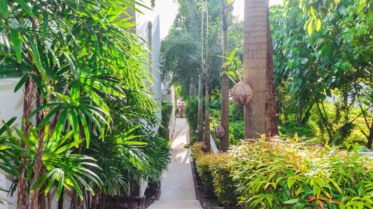 Photo of Outdoor in Wichit