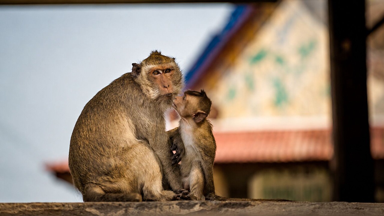 Photo of Others in Khao Takiab