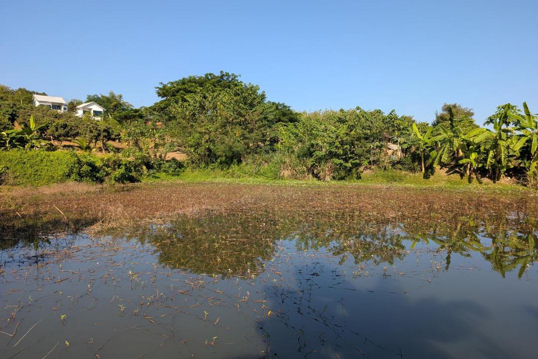 Photo of Others in Loei Province