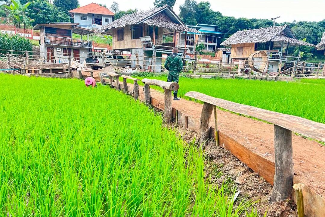 Photo of Others in Laplae