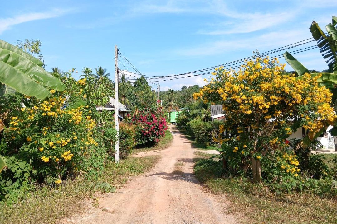 Photo of Outdoor in Ko Yao
