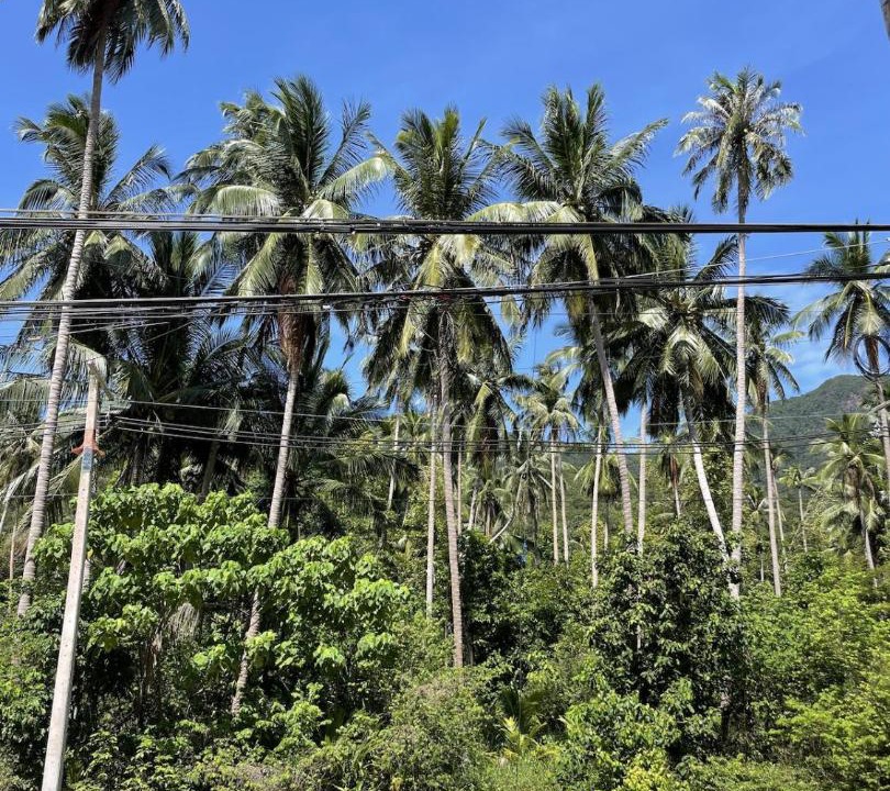 Photo of Others in Ko Pha-ngan