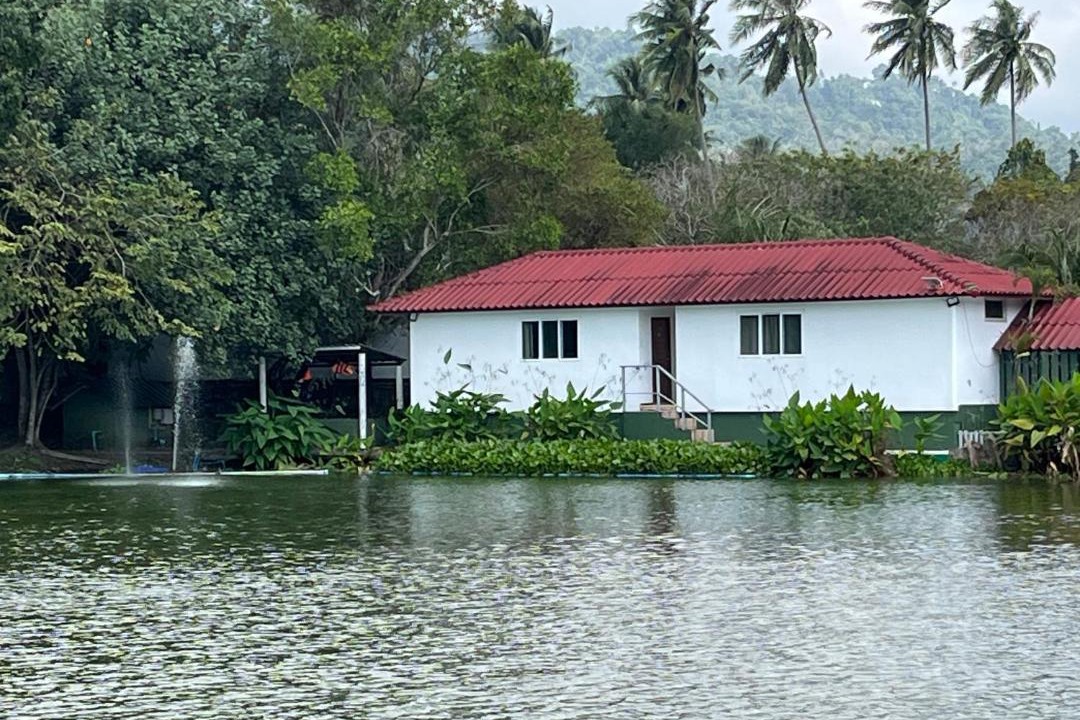 Photo of Others in Taling Ngam