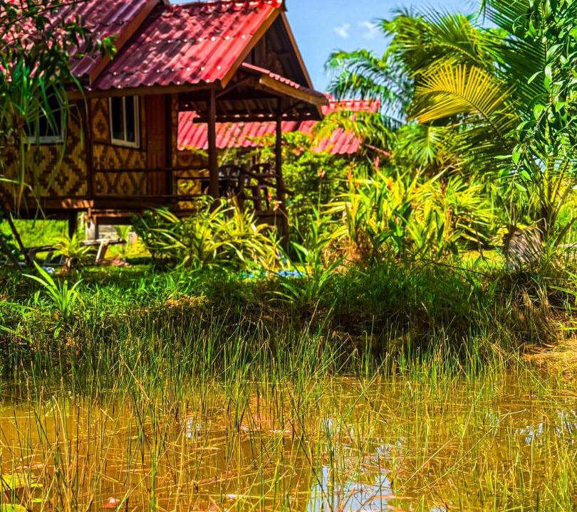 Photo of Others in Nuea Khlong