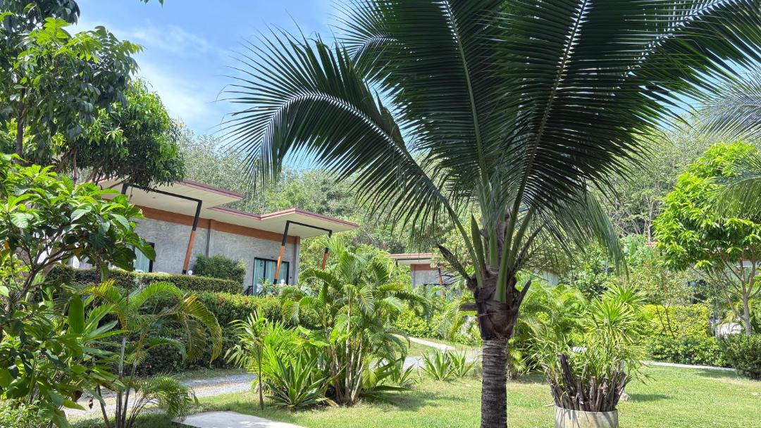 Photo of Others in Ko Lanta