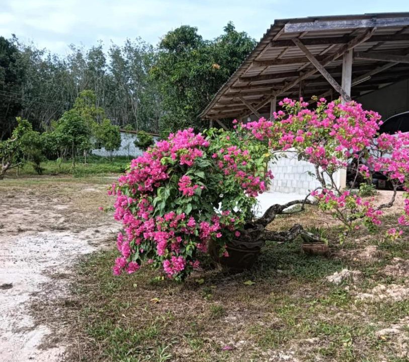 Photo of Others in Ko Lanta
