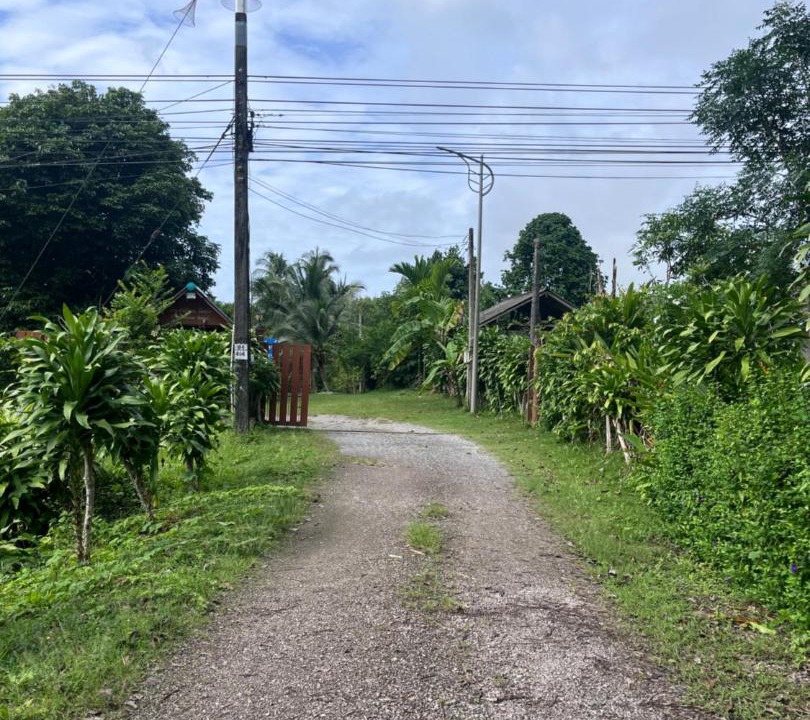 Photo of Outdoor in Phanom