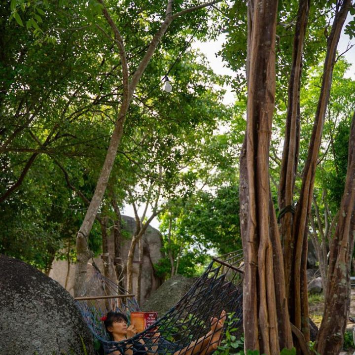 Photo of Others in Koh Tao