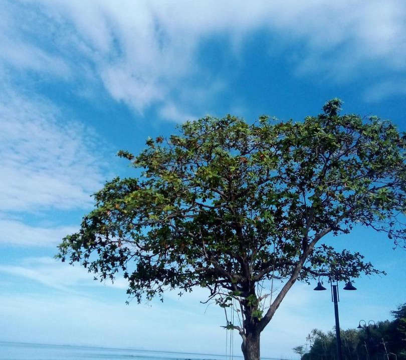 Photo of Others in Ko Lanta
