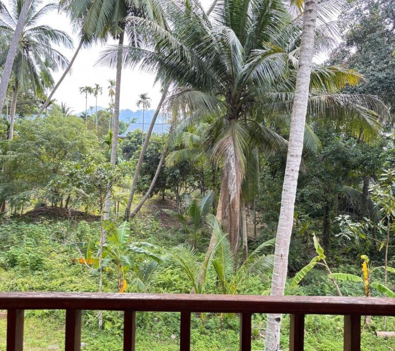 Photo of Others in Baan Tai