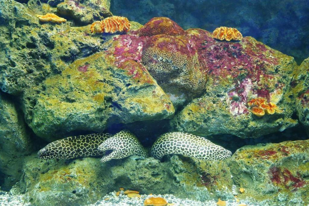 Photo of Others in Saen Suk