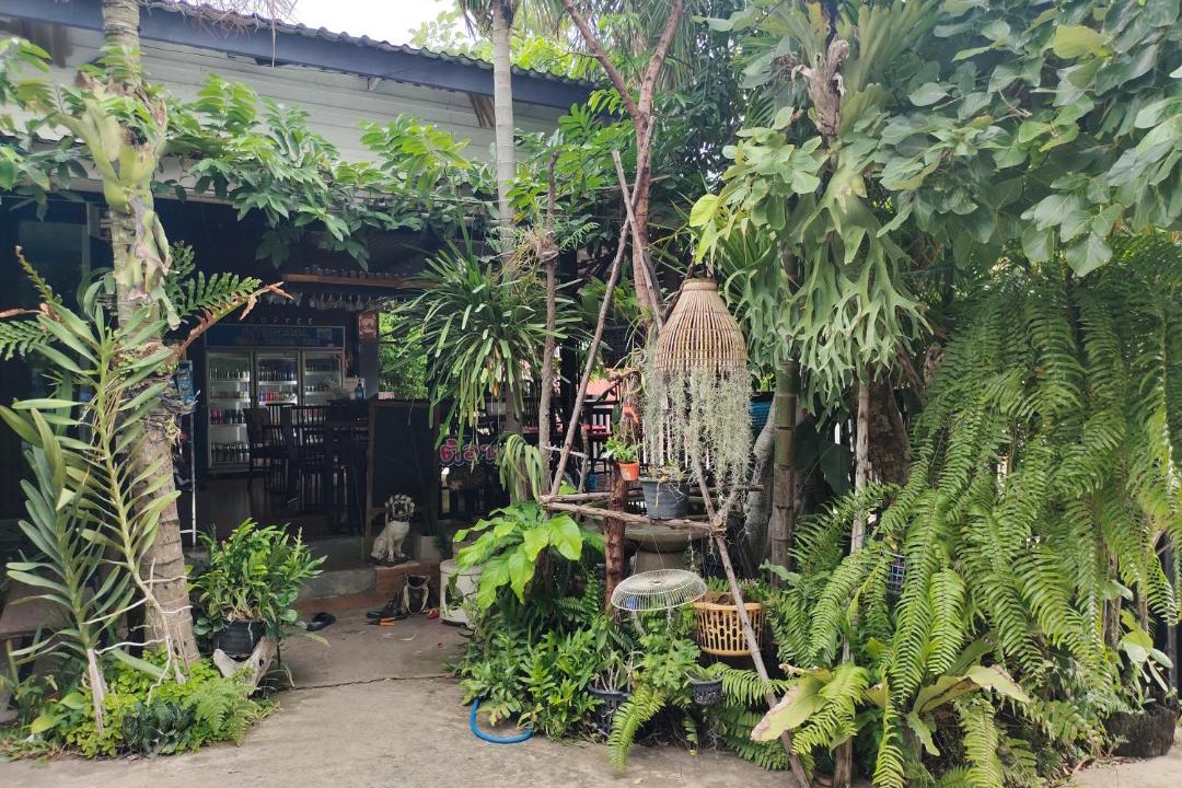 Photo of Others in Nakhon Ratchasima