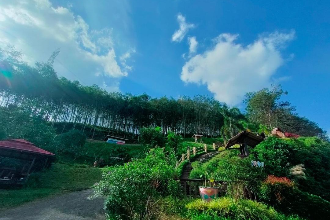 Photo of Others in Phangnga