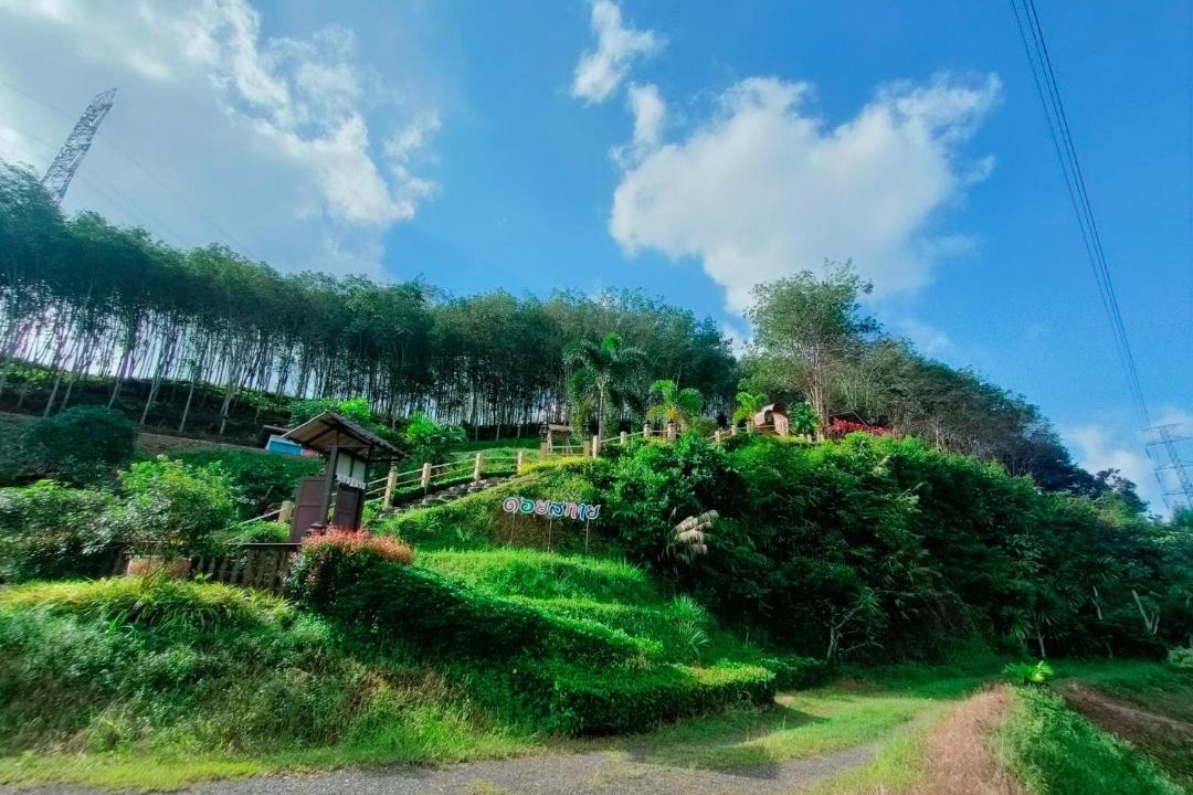Photo of Others in Phangnga