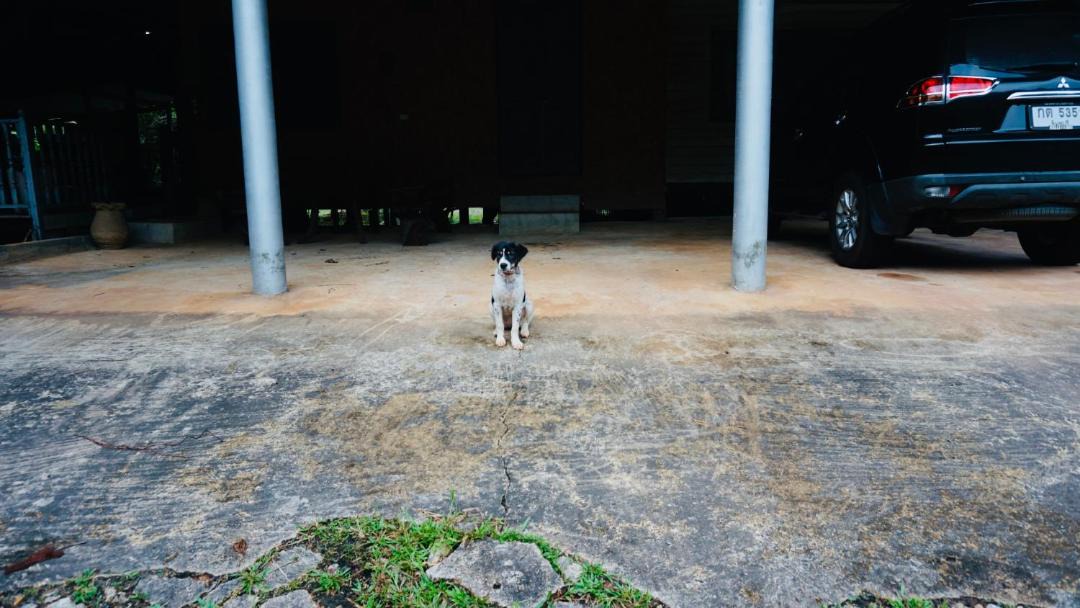 Photo of Others in Chanthaburi