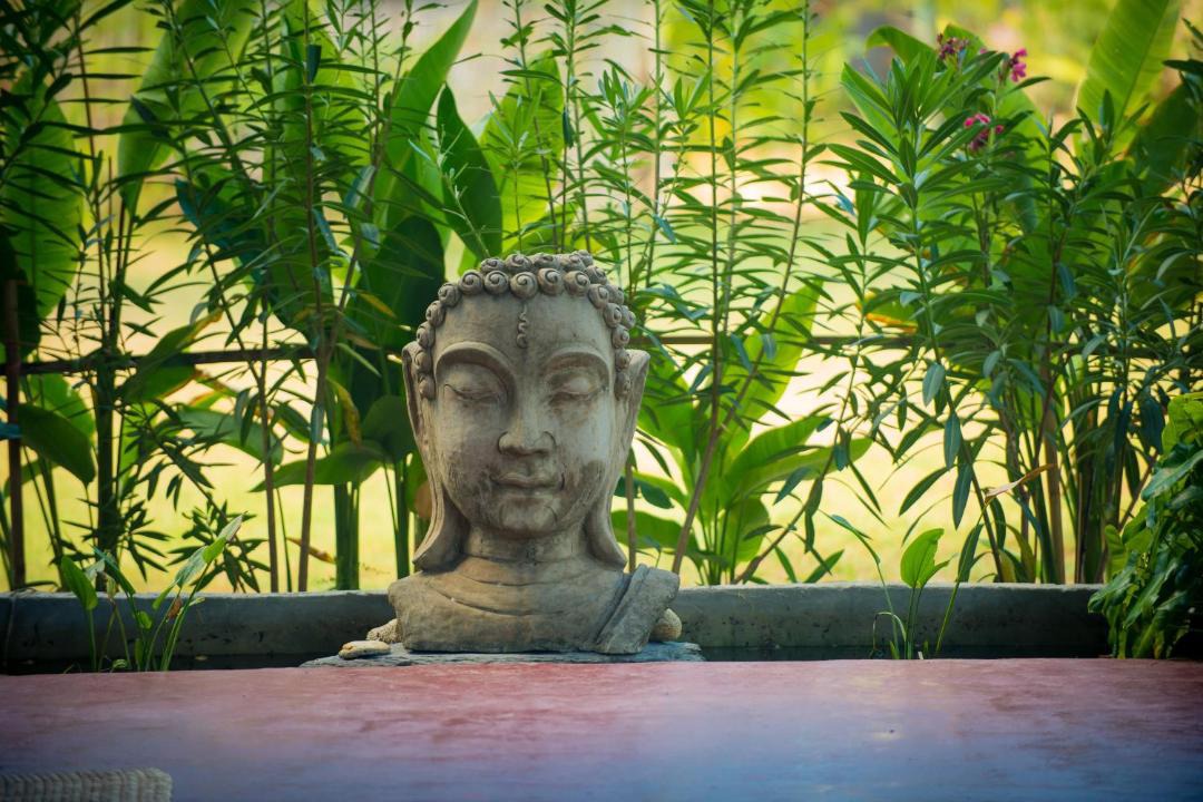 Photo of Others in Ko Lanta