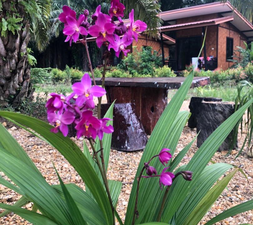 Photo of Others in Khlong Sok