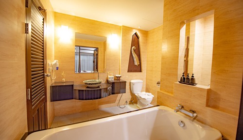 Deluxe Double or Twin Room, Pool Access