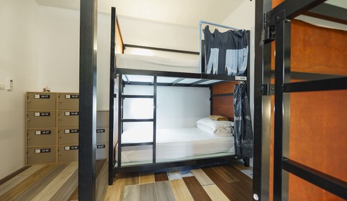 Bunk bed in mixed dormitory room