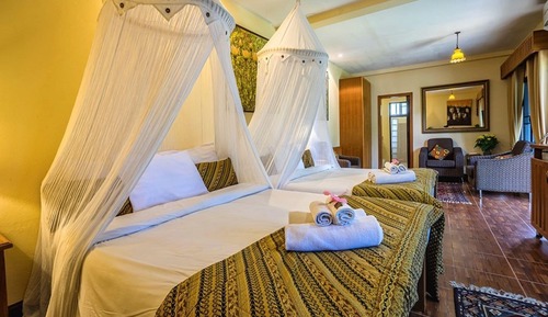 Suite, Garden View